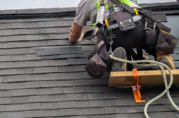 Quick and Trustworthy Emergency Roof Repair Services in Sumner, IL