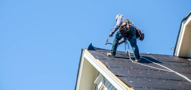 Best Commercial Roofing Services  in Sumner, IL